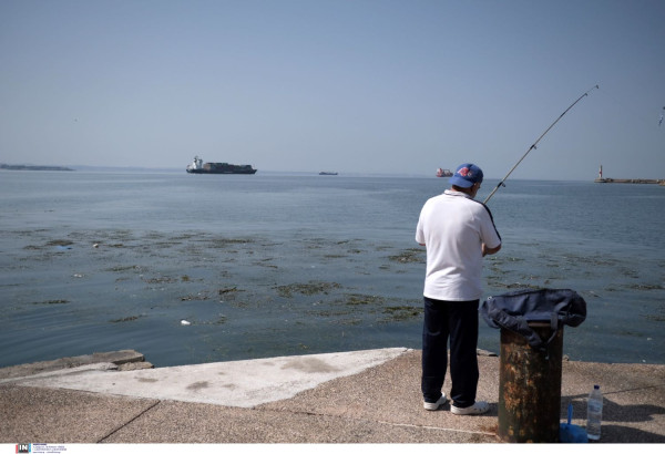 Θεσσαλονίκη: Κακή η εικόνα στις ψαραγορές - Οι καταναλωτές δεν αγοράζουν φοβούμενοι τη μόλυνση του Θερμαϊκού