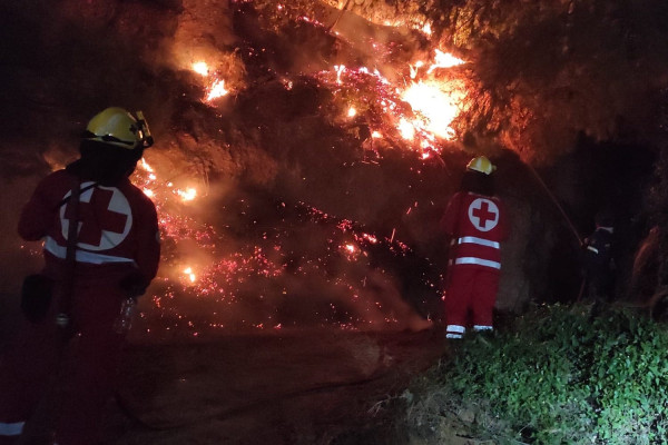 Πυρκαγιές: Λογαριασμό για τη στήριξη πυρόπληκτων ανθρώπων και ζώων άνοιξε ο Ερυθρός Σταυρός