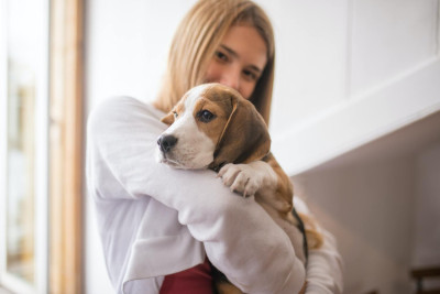 Ελπιδοφόρα μελέτη: Ένα παράσιτο σκύλου θα μπορούσε να βοηθήσει στην καταπολέμηση του καρκίνου - Επιστήμονες εξηγούν