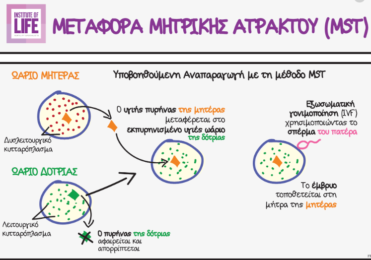 μητρικη ατρακτος