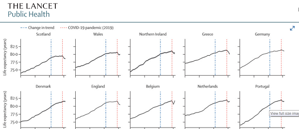 lancet.png