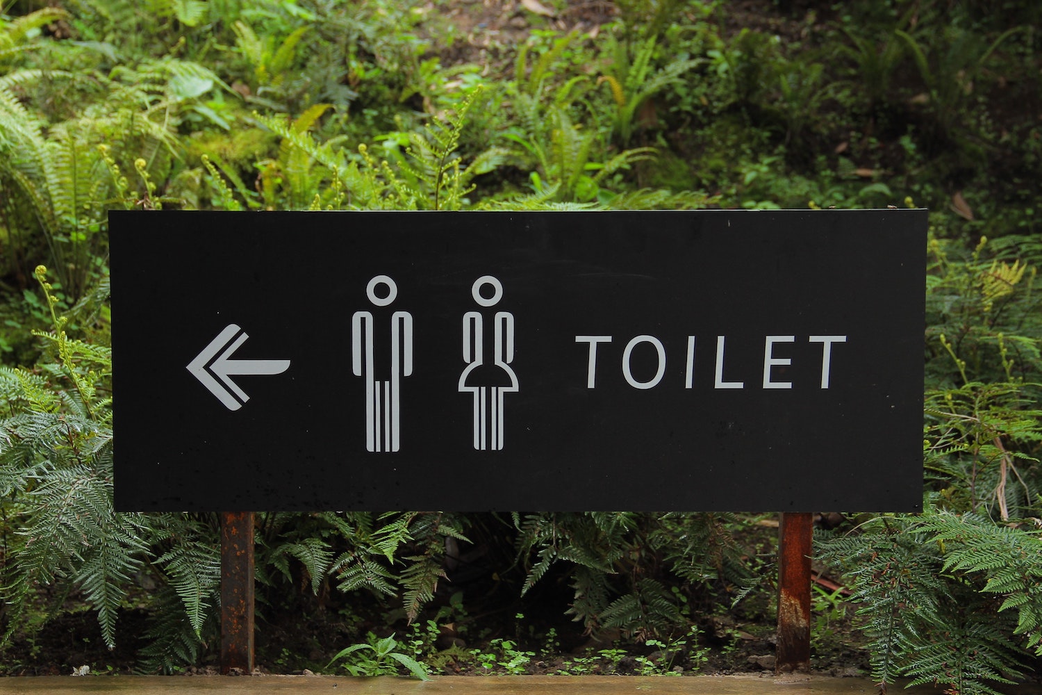 gender toilet