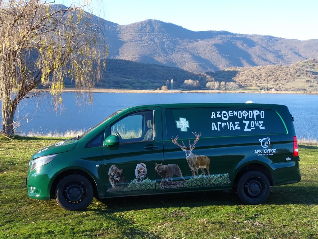 ΑΡΚΤΟΥΡΟΣ 2