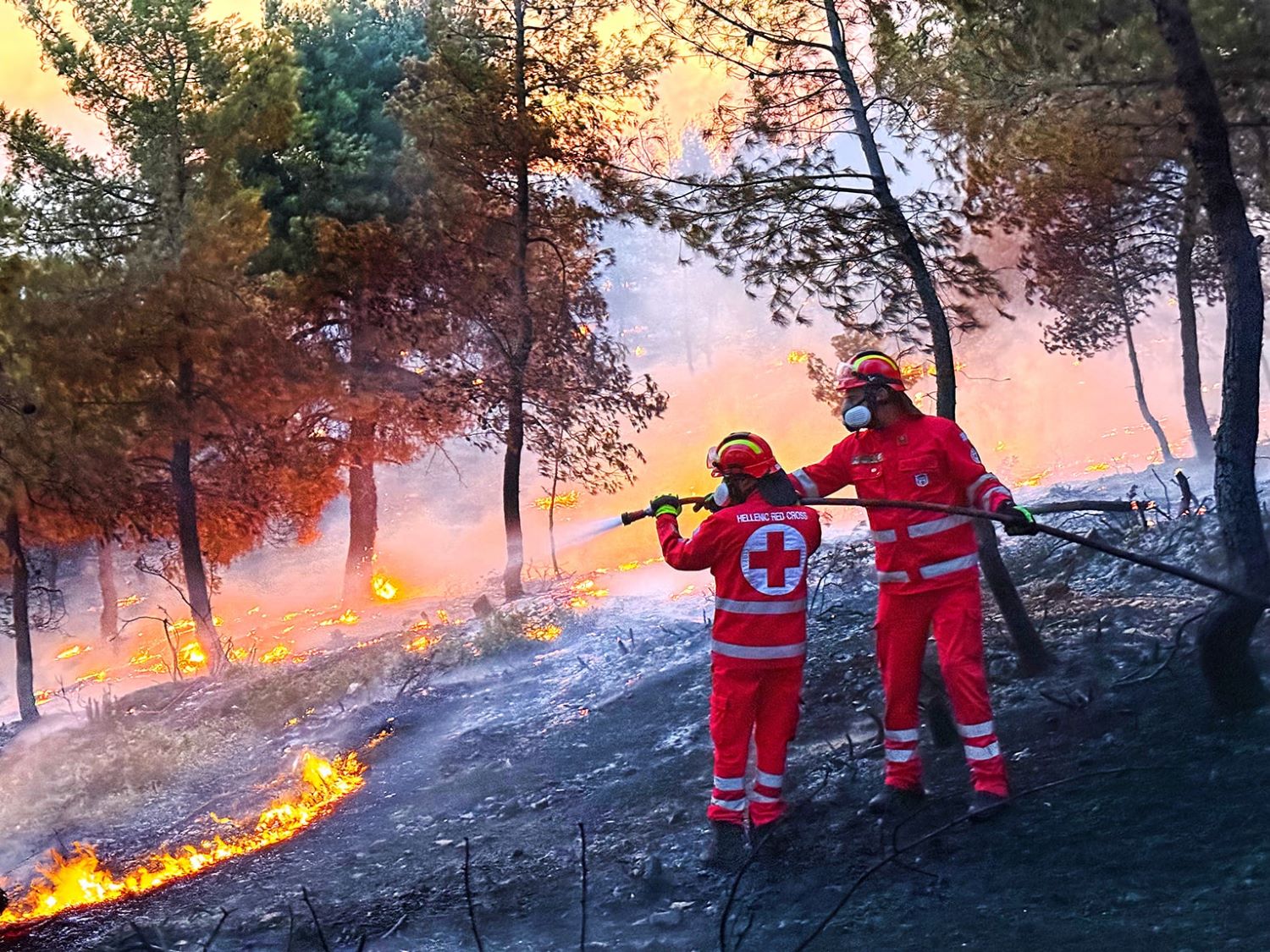 EES SAMARITES 2