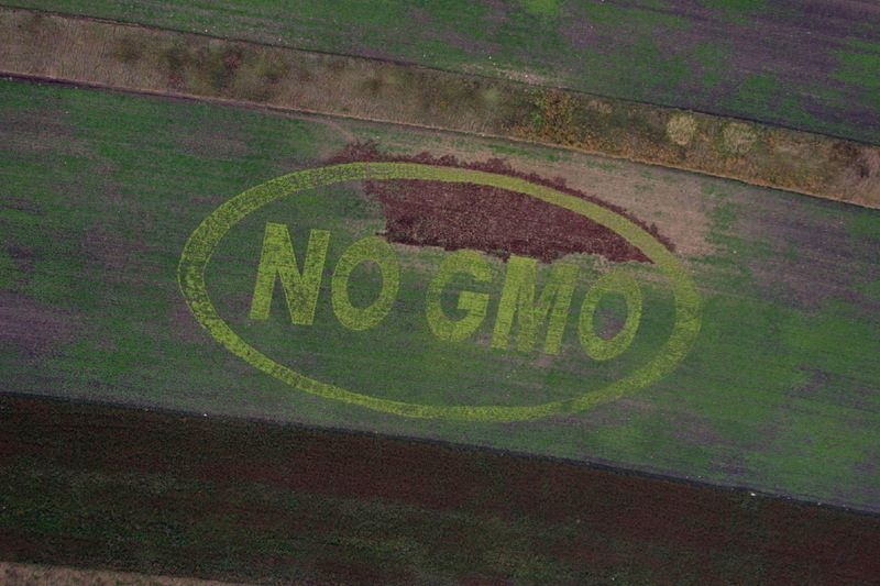 GREENPEACE GMO