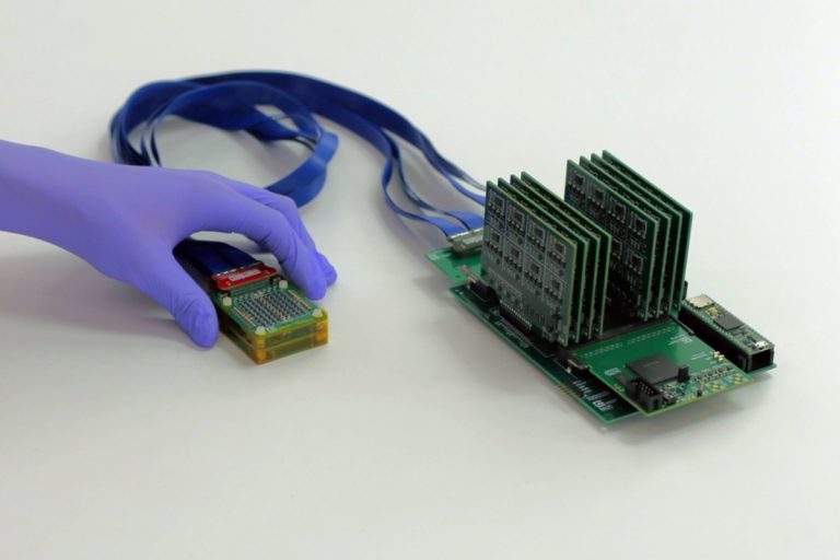 KARKINOS MASTOY MESA