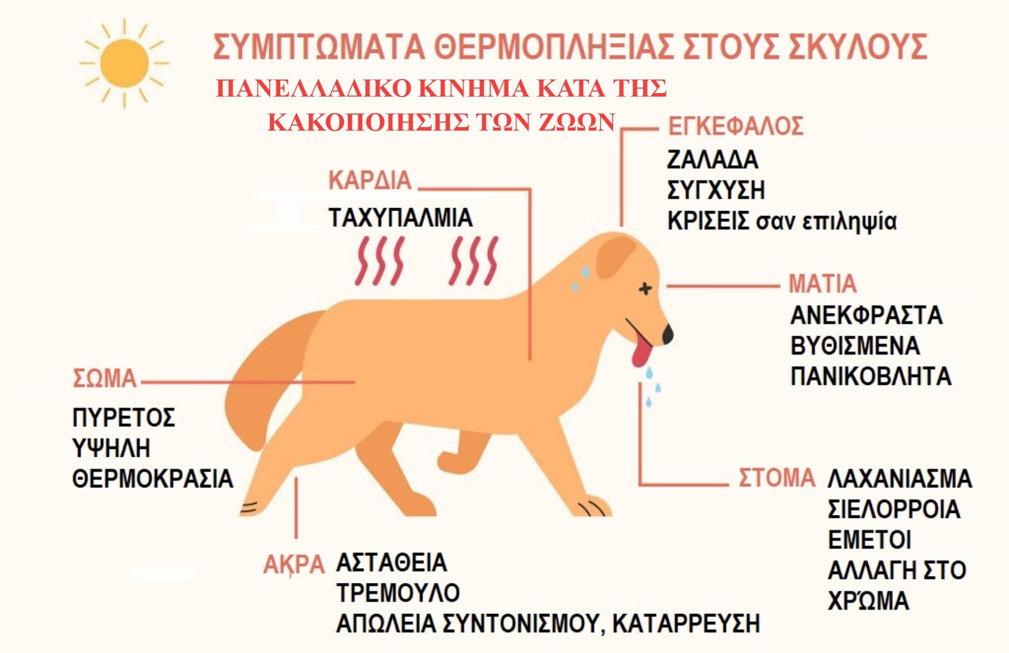 SKYLOS ZESTH