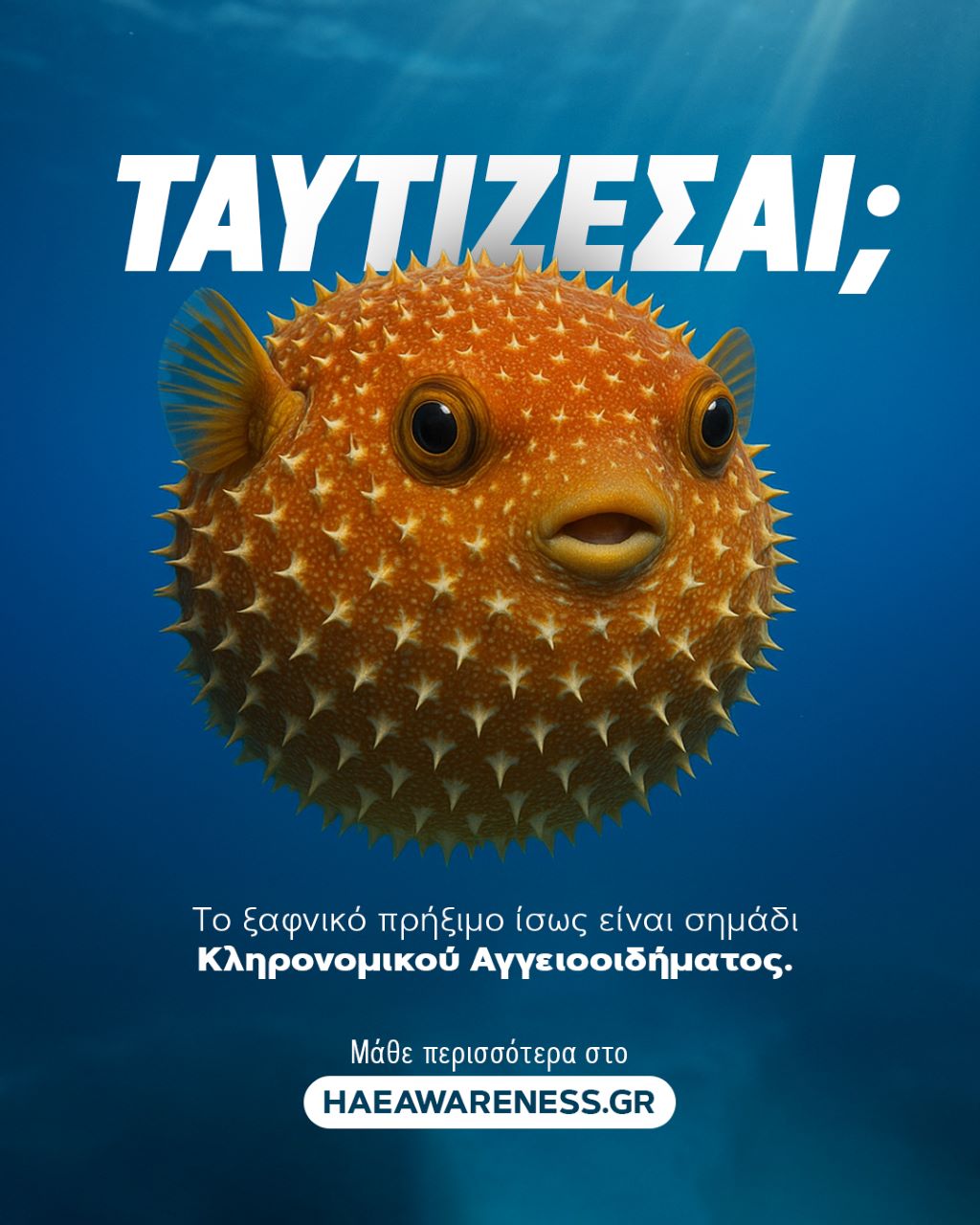 TAYTISI 1