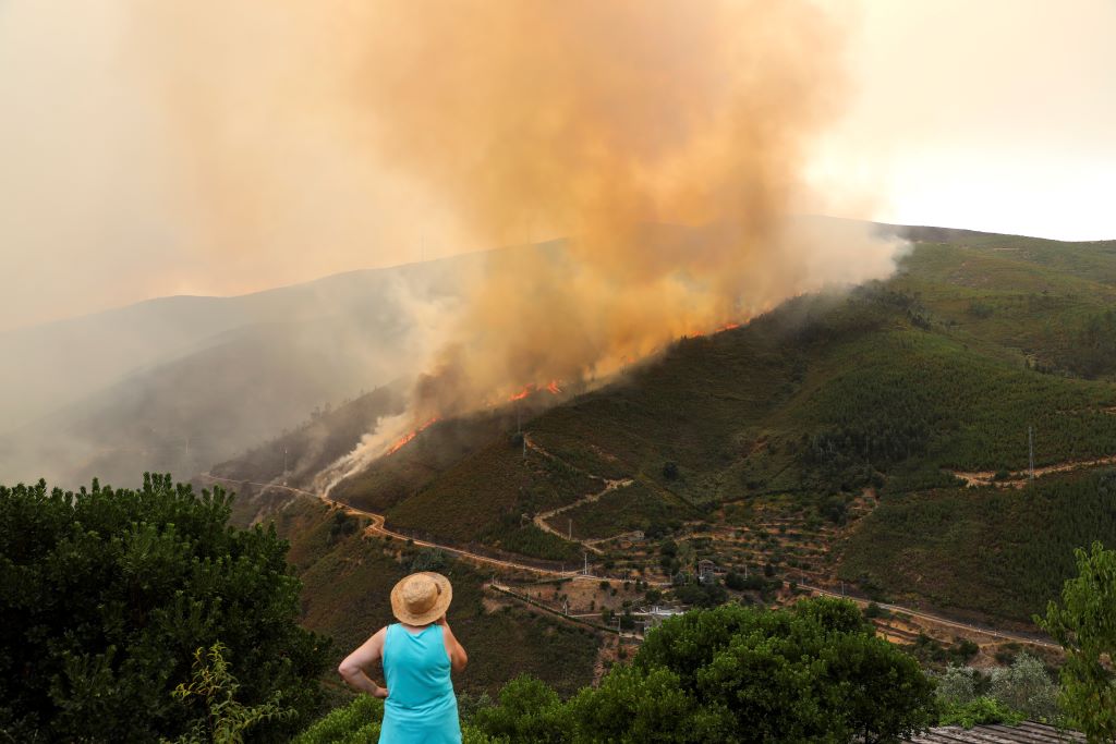 WILDFIRE 3