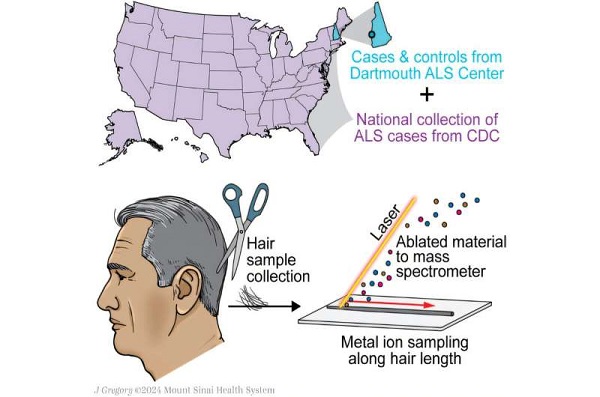 single-hair-strand-cou.jpg