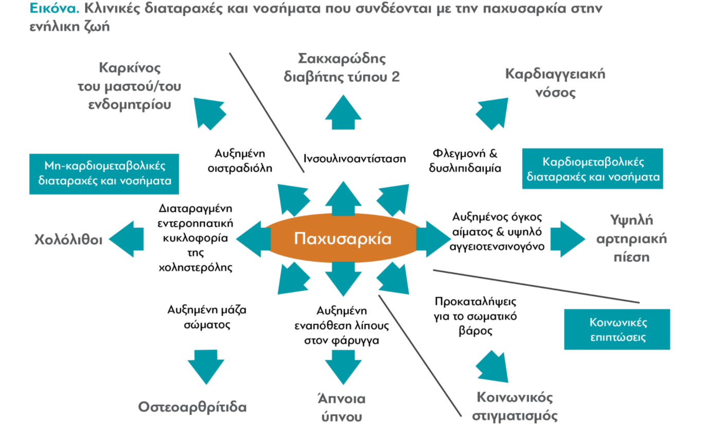 ΕΙΚΟΝΣΔ