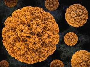 HPV: Μύθοι και αλήθειες για τις μυρμηγκιές και τα κονδυλώματα