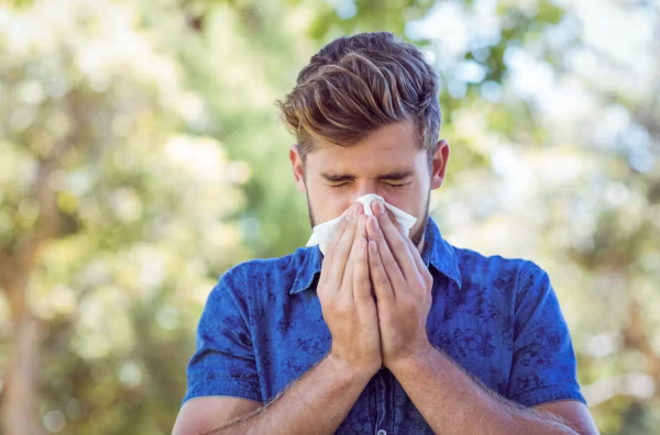 Αλλεργική ρινίτιδα: Πώς τα βακτήρια του εντέρου και της μύτης μπορούν να μειώσουν τα συμπτώματα