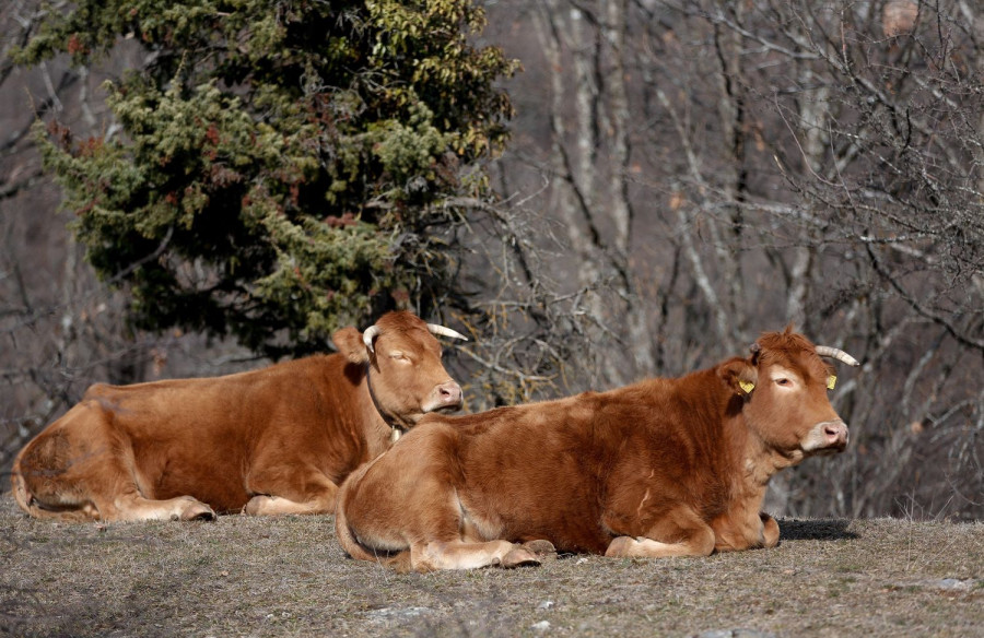 Αρχείου INTIME NEWS