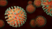 Κορονοϊός: Ανοσία έξι μήνες μετά τη μόλυνση - O ρόλος των Τ-λεμφοκυττάρων