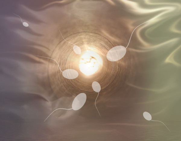 Κορονοϊός: Δεν επηρεάζουν την ποιότητα σπέρματος τα εμβόλια mRNA
