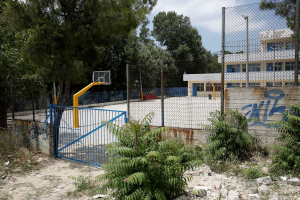 Eπείγουσα εγκύκλιος του ΕΟΔΥ για την (τοξική) πικροδάφνη στις αυλές των σχολείων