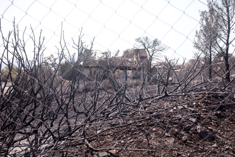 Περιβαλλοντική Γεωχημεία και Υγεία σε μια κρίσιμη καμπή της Ιστορίας για τη φύση