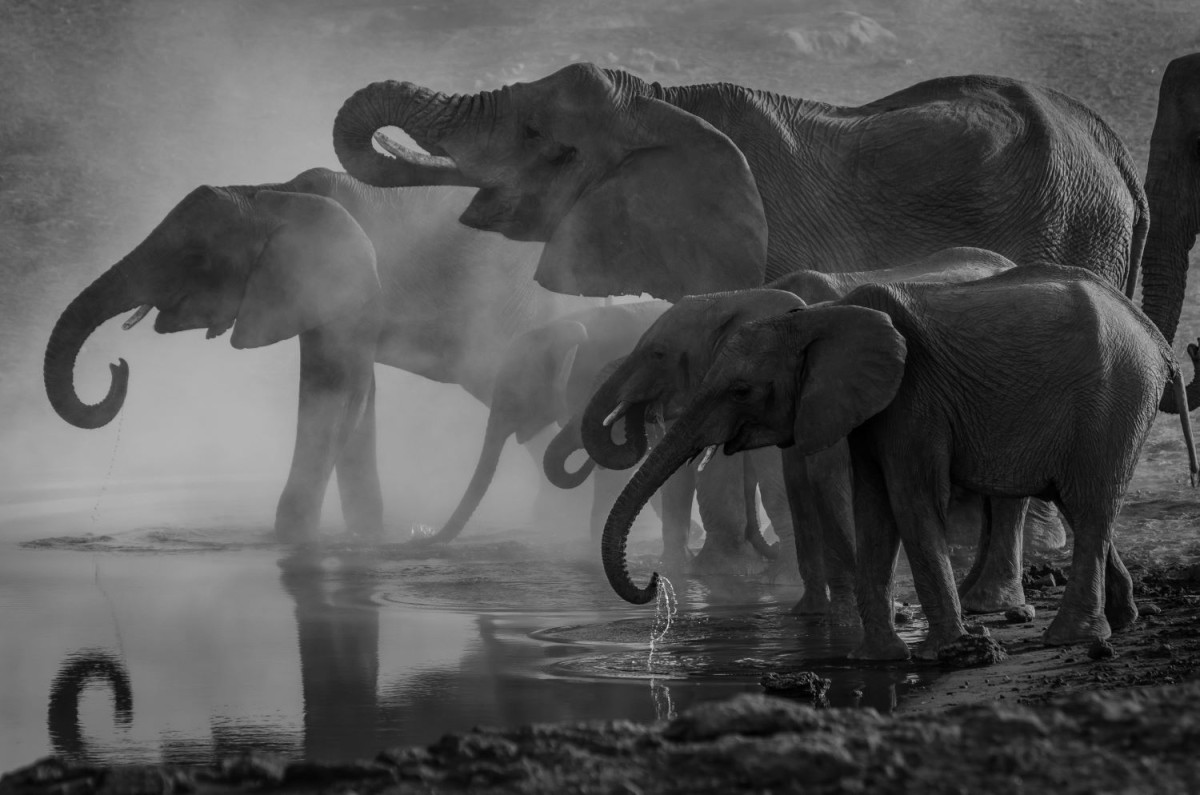UNSPLASH