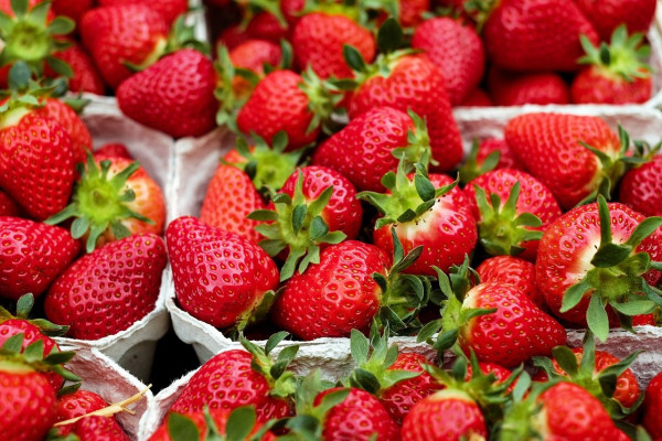 Φράουλες η σούπερ τροφή για την καρδιά, τον εγκέφαλο και το έντερο