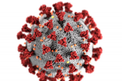 Κορονοϊός: Μετάλλαξη του ιού διχάζει του επιστήμονες - Πόσο μεταδοτική είναι