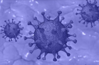 H αργή μετάλλαξη του SARS-CoV-2 σύμμαχος για τα εμβόλια