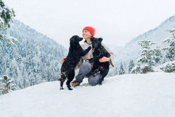 Οι αόρατοι κίνδυνοι που απειλούν τον σκύλο μας τον χειμώνα - Πως θα τον κρατήσουμε ασφαλή