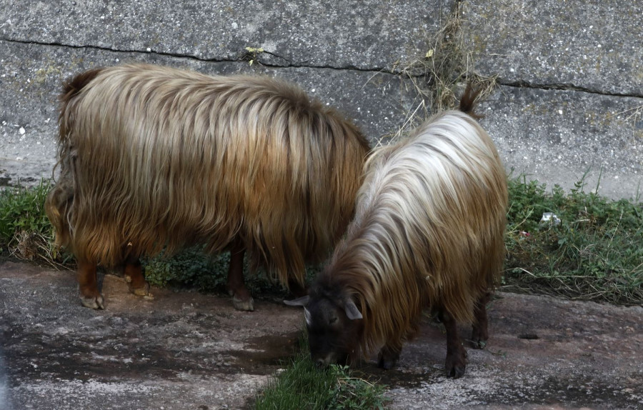 Αρχείου INTIME