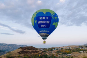 Νέο καμπανάκι από την Greenpeace για τη βιοποικιλότητα: «Απέχουμε πολύ από την επίτευξη των στόχων "30x30"»