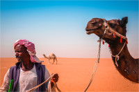 Κατηγορηματικοί οι Έλληνες επιστήμονες για τη γρίπη της καμήλας: Δεν ευσταθούν οι φόβοι για εξάπλωση του ιού στην Ευρώπη