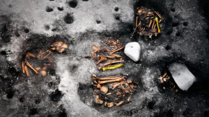 Εντοπίστηκε DNA συγγενούς βακτηρίου της σύφιλης σε σκελετούς 2.000 ετών