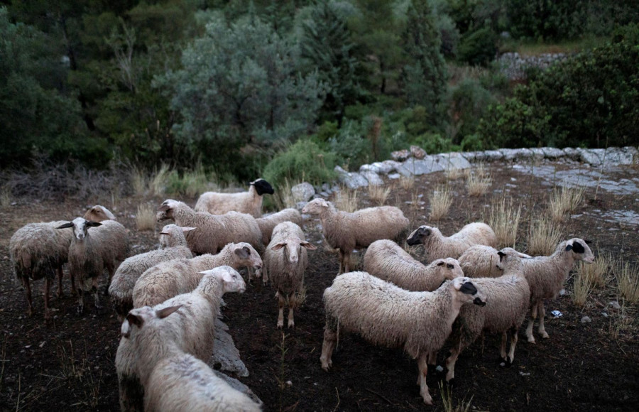 Αρχείου INTIME
