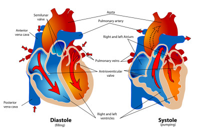 Η αλλοπουρινόλη δεν έχει όφελος σε ασθενείς με ισχαιμική καρδιοπάθεια σύμφωνα με νέα μελέτη