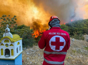O ΕΕΣ καλεί τους πολίτες να ενισχύσουν οικονομικά τους πυρόπληκτους