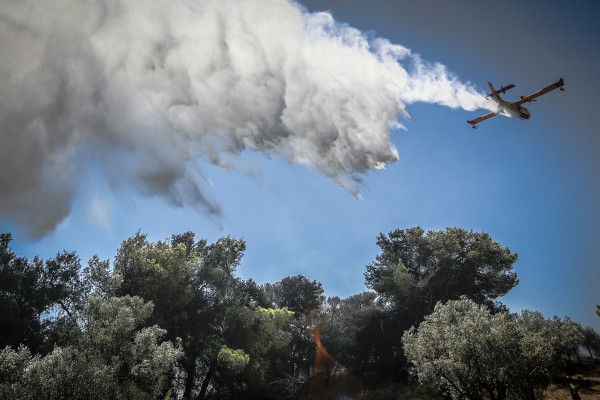 Ελληνικός Ερυθρός Σταυρός: Άνοιγμα λογαριασμού και συγκέντρωση οικονομικής ενίσχυσης για τους πυρόπληκτους