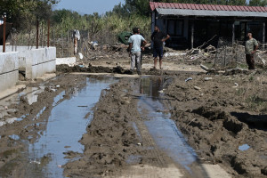 Σύσκεψη του συντονιστικού για τη Θεσσαλία - Το βάρος στη δημόσια υγεία και τα νεκρά ζώα