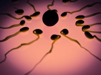 Η κρυοσυντήρηση σπέρματος «διατηρεί» το δικαίωμα να γίνεις γονιός