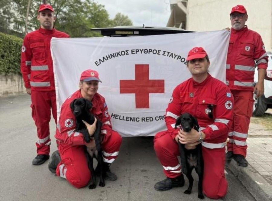 Ο Ελληνικός Ερυθρός Σταυρός ενισχύει την SAR-K9 με δύο νέους σκύλους-διασώστες