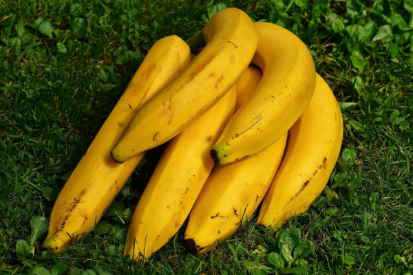 Ωρίμασαν οι μπανάνες: Μην τις πετάς γιατί μπορείς να φτιάξεις το καλύτερο παγωτό