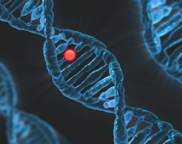 Εντοπίστηκαν σε 11 γονίδια ύποπτες μεταλλάξεις για επιθετικές μορφές καρκίνου του προστάτη