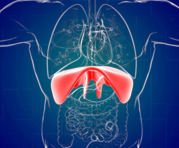 Τι είναι και πώς θεραπεύεται η διαφραγματοκήλη - Πότε χρειάζεται χειρουργείο