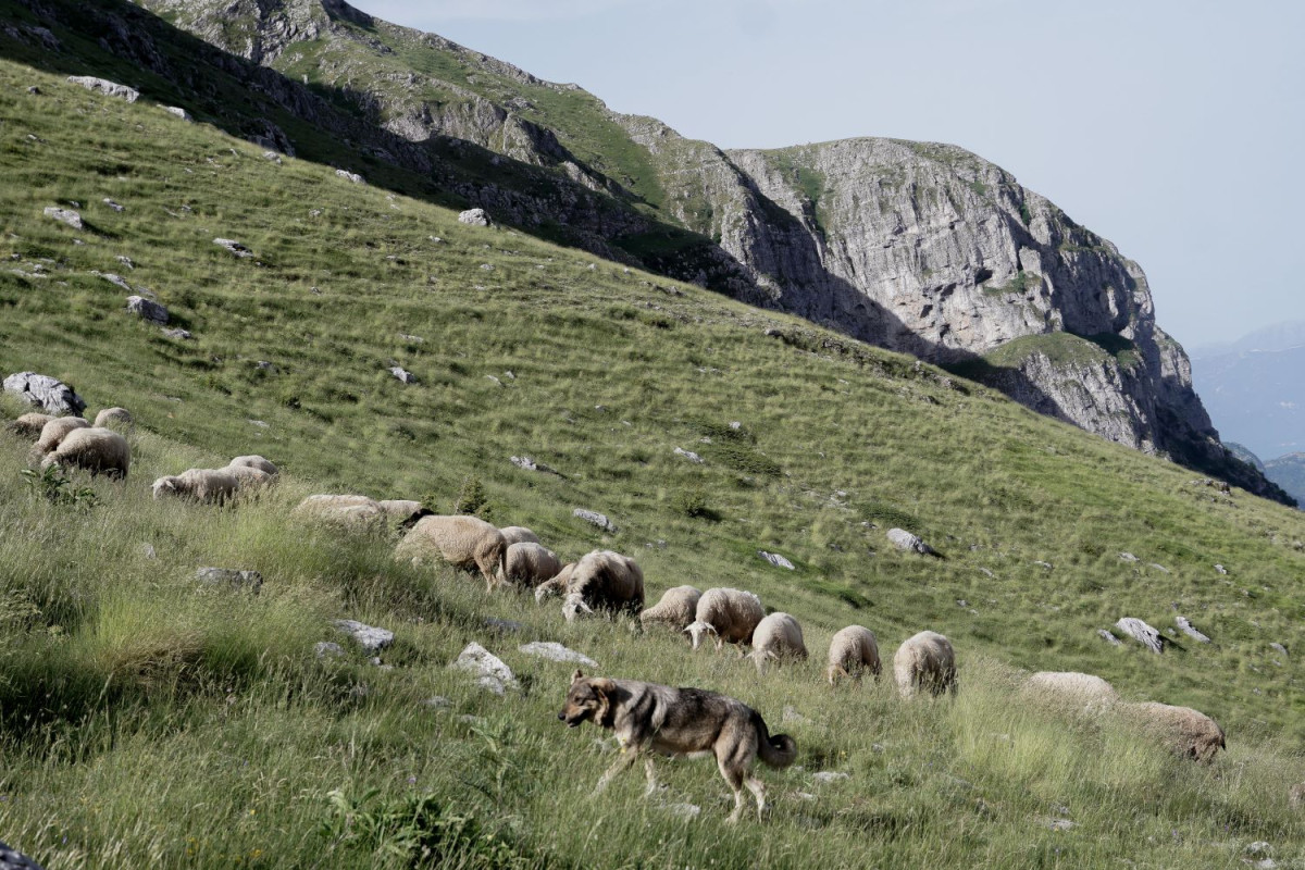 EUROKINISSI