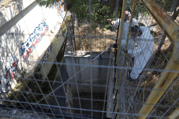 Ιός Δυτικού Νείλου: 24 νεκροί και 290 κρούσματα στην Ελλάδα – 58 νέα περιστατικά σε μία εβδομάδα