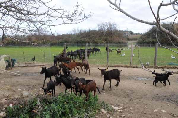 Αρχείου EUROKINISSI