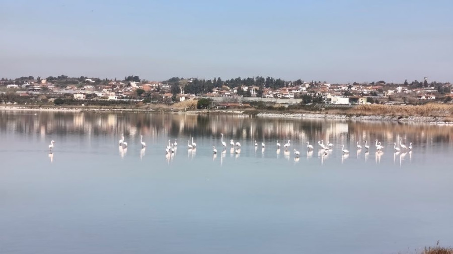 Φωτ. ΟΦΥΠΕΚΑ, ΑΠΕ-ΜΠΕ