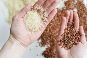 Ρύζι: Το δημοφιλές «διατροφικό εργαλείο» με την ανυπολόγιστη θρεπτική αξία