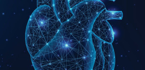 Καρδιακές βαλβίδες και σύγχρονες διακαθετηριακές τεχνικές που αλλάζουν τη ζωή, χωρίς χειρουργείο