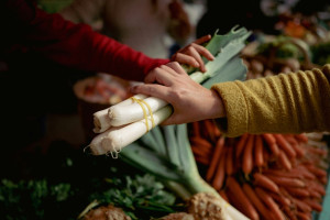 Κίνα: Διάλογος πανεπιστημιακών για την αντιμετώπιση των παγκόσμιων προκλήσεων στη διατροφική ασφάλεια