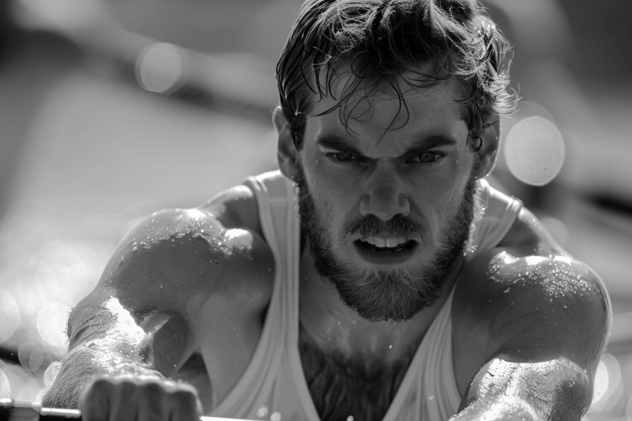 Αρχείου FREEPIK