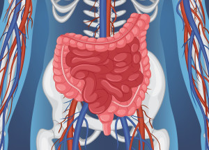 Τρόποι και τροφές για τον καθαρισμό εντέρου με φυσικό τρόπο